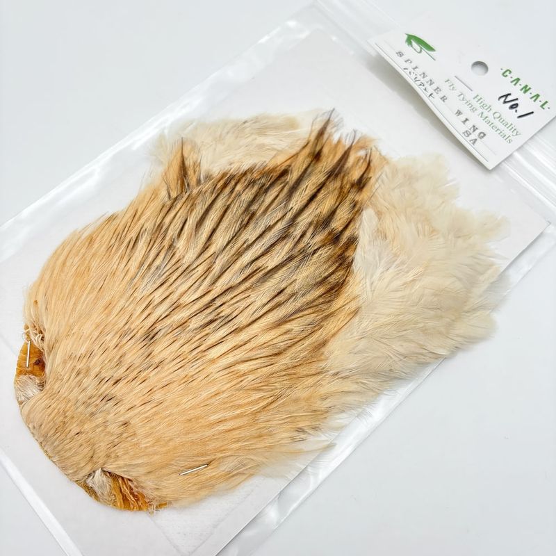 CANALҡԥʡ Хꥢ SA No.1