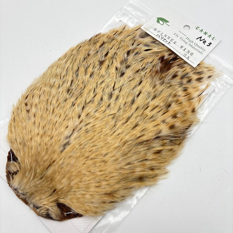 CANALҡԥʡ ХꥢȡSANo.3