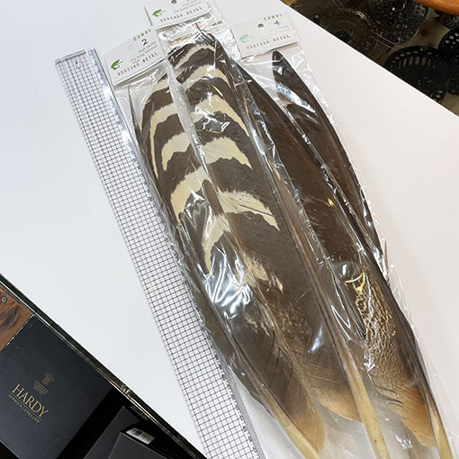 CANAL�ҡ��Х������ɥ�����