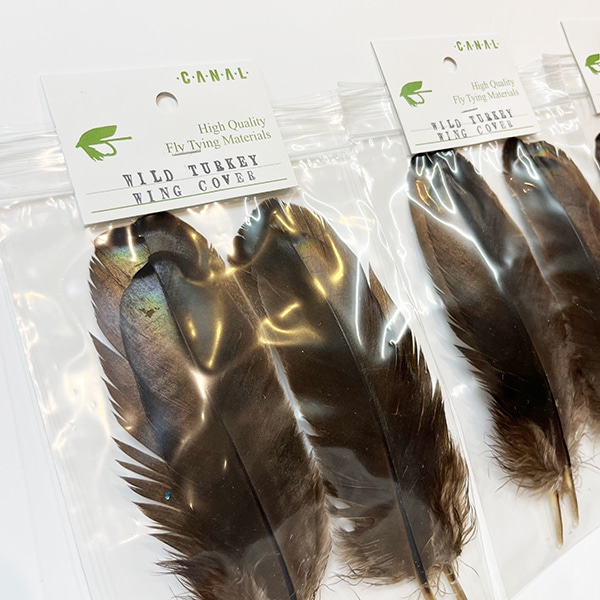 CANALҡ磻ɥ 󥰥СCN 21