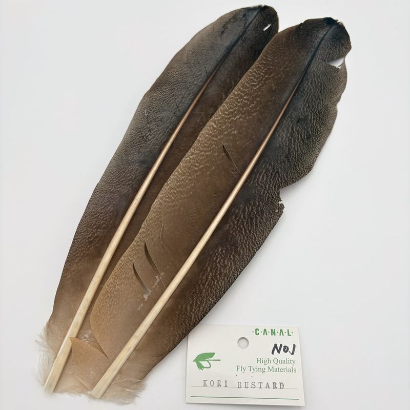 CANAL�ҡ������꡼�Х������ɥ������30,000�ߡ�No.1