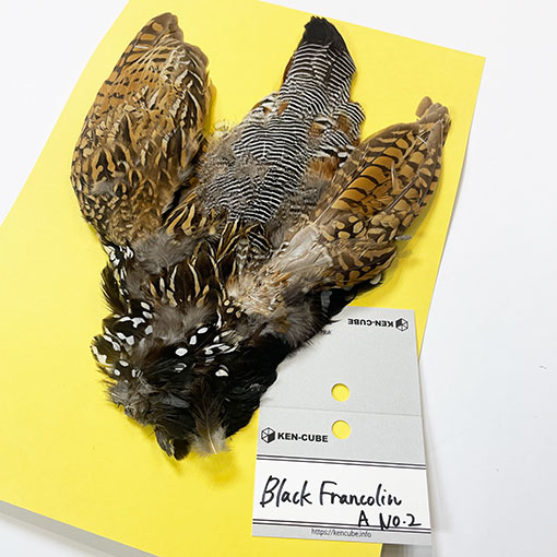 �֥�å��ե�󥳥�󡦥���ץ꡼�ȥ�����A��No.2