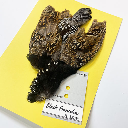 �֥�å��ե�󥳥�󡦥���ץ꡼�ȥ�����A��No.4