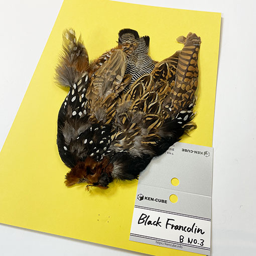 �֥�å��ե�󥳥�󡦥���ץ꡼�ȥ�����B��No.3