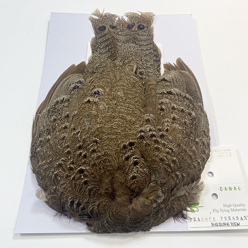 CANALҡ졼ԡåեȡإ󡡥ץ꡼ȥ