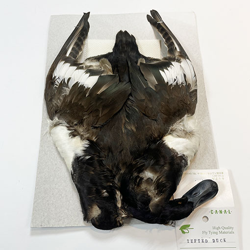 ʥҡեƥåɥåץ꡼ȥ