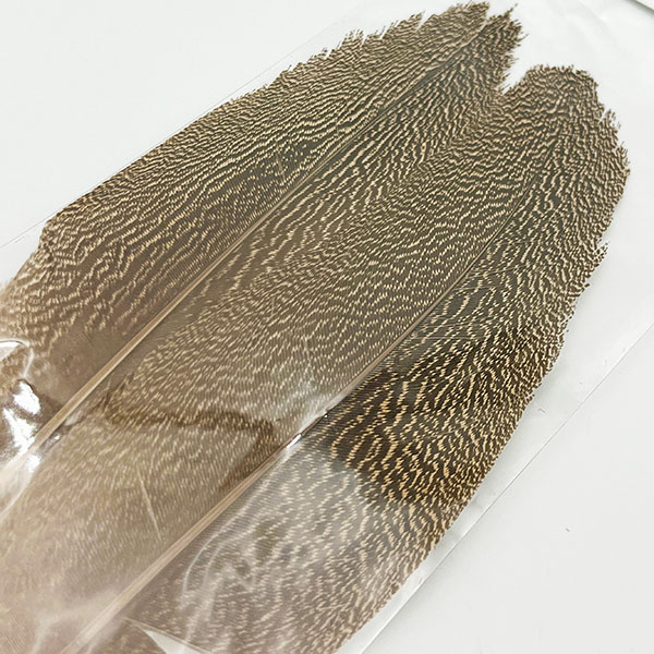 CANAL�ҡ������꡼�Х������ɥ����� (3,000��)