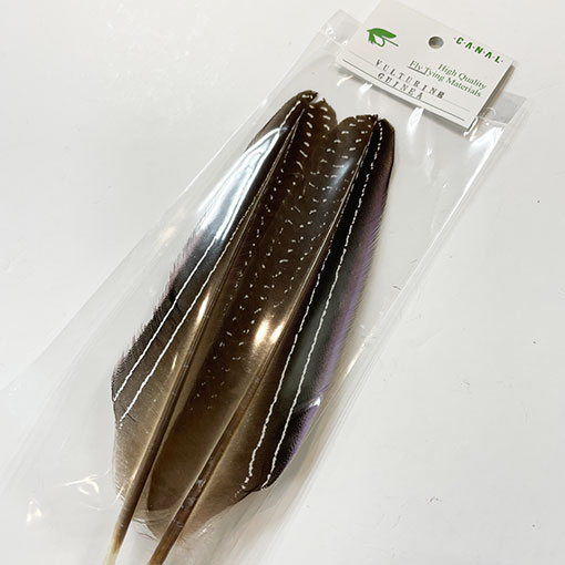 CANAL�ҡ��Х������ʥ���ʥ�����