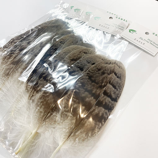 CANAL�ҡ��������륯����