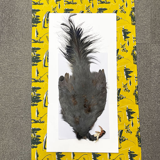 ����ʥ�ҡ��֥롼���䡼�ե�����ȥ���ץ꡼�ȥ�����