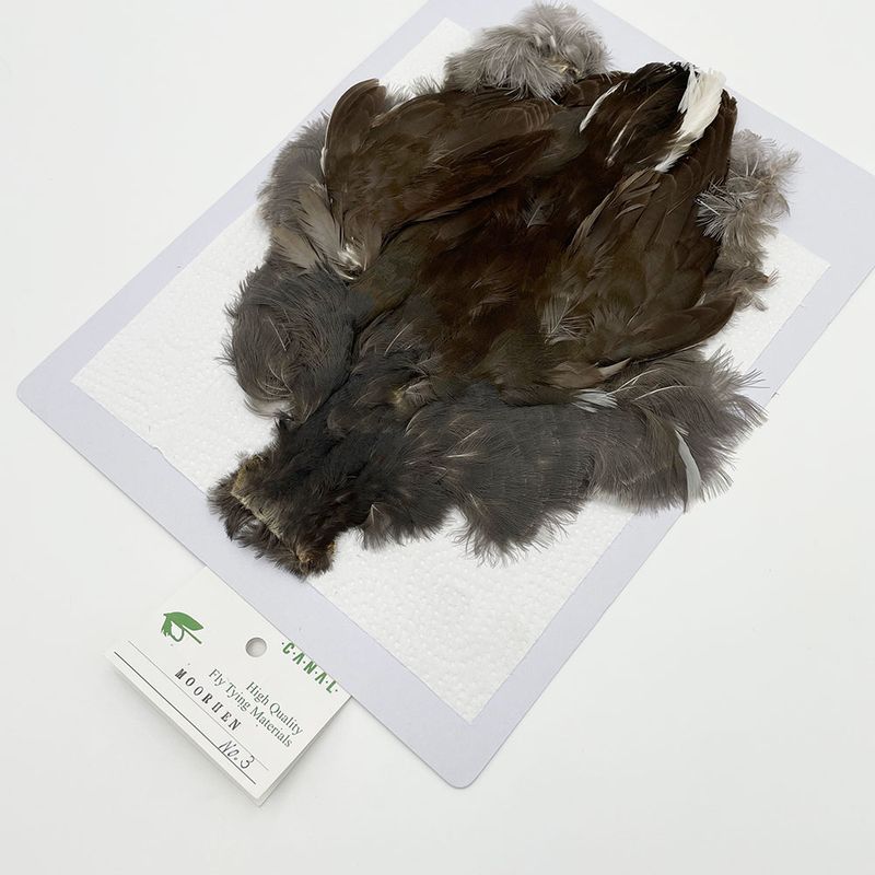 CANAL�ҡ�MOORHEN�ʥॢ�إ�˥���ץ꡼�ȥ������CN99�ۡ�No.��