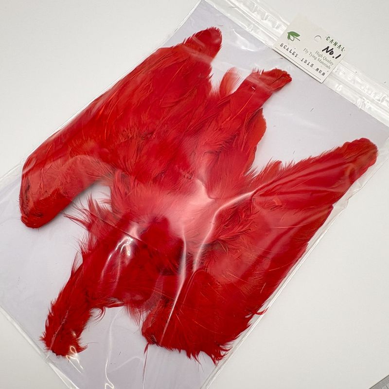 ��������å� �����ӥ�SUB ����ץ꡼�ȥ����� No.1