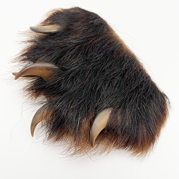 �֥�å��٥����ۥå��ʥĥ��Υ殺�ޡˡ���­No.��