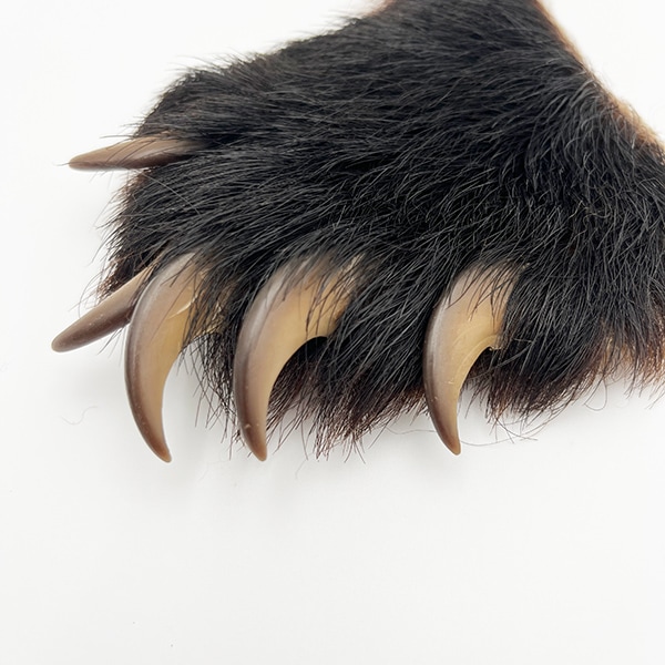 �֥�å��٥����ۥå��ʥĥ��Υ殺�ޡˡ���­No.2