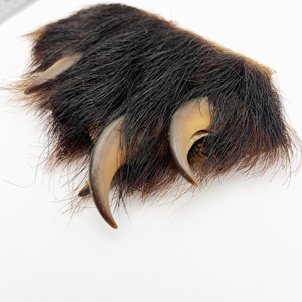 �֥�å��٥����ۥå��ʥĥ��Υ殺�ޡˡ���­No.4