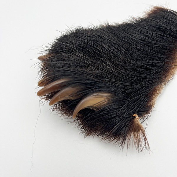 ブラックベアーホック（ツキノワグマ） 後足No.4