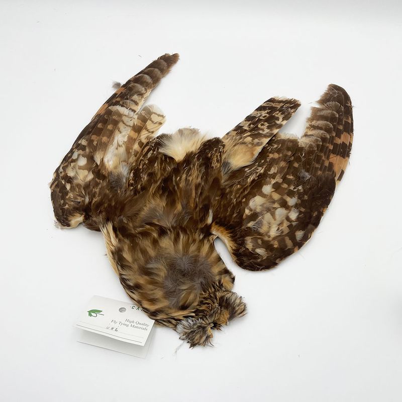 CANAL�� �����륳��ץ꡼�ȥ�����