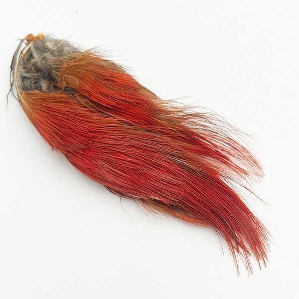 CANAL�ҡ�������ǥ�ե������ ��åɥ֥쥹�� [CNRB]