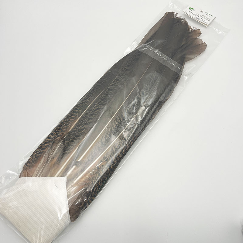 CANAL�ҡ��ԡ����å� ����ץ꡼�ȥơ��롡No.2