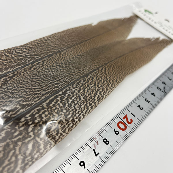 CANAL社 スペックルドフェザントテール（6000円グレード）