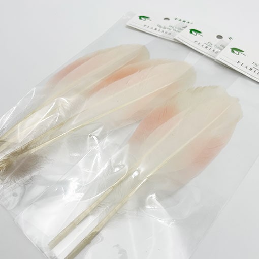 CANALҡեߥ󥴡CN FLA