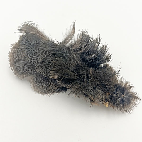 KEN-CUBE���ॢ�إ�ͥå��ѥå��ʾ������եȥϥå����ѡˡ�MNP��