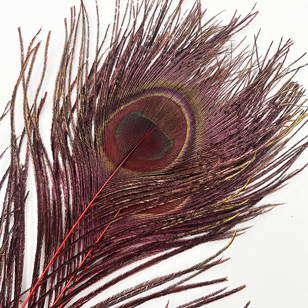 CANALҡԡååɡ3ˡCN40 002