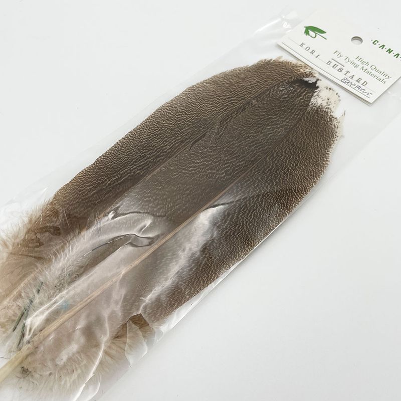 CANALҡ꡼Хɥ (8,000)