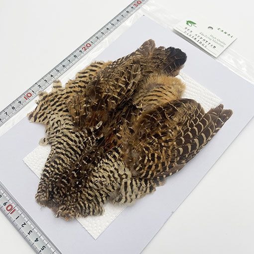 CANAL�ҡ��إ󥹥ݥåƥåɥѡ��ȥ�å�������ץ꡼�ȥ�����ʥ᥹��