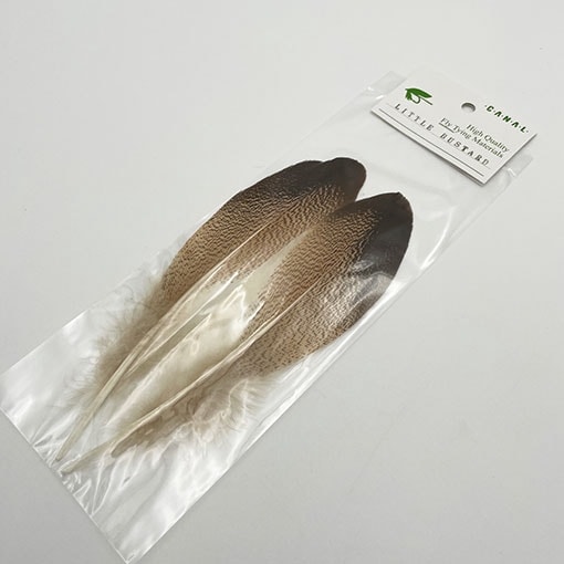 CANAL�ҡ���ȥ�Х������ɥ�����