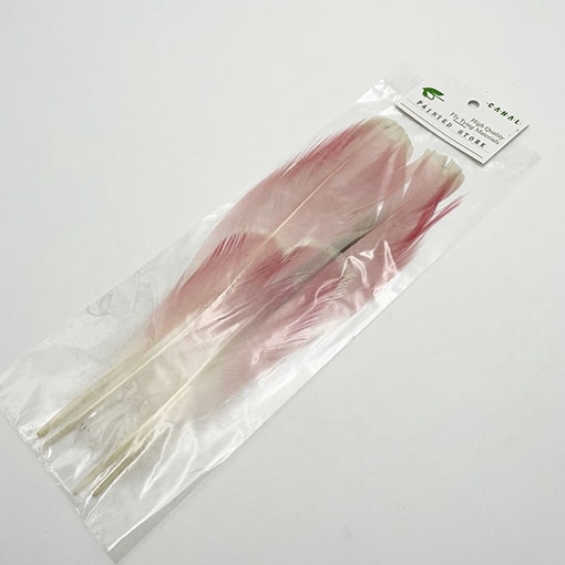 CANAL�ҡ��ڥ���ƥåɥ��ȡ���