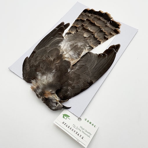 CANAL�ҡ�SPARROW HAWK�ʥϥ������˥���ץ꡼�ȥ�����