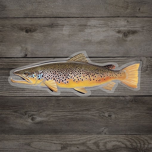 Rep Your Water Brown Trout ���ƥå���