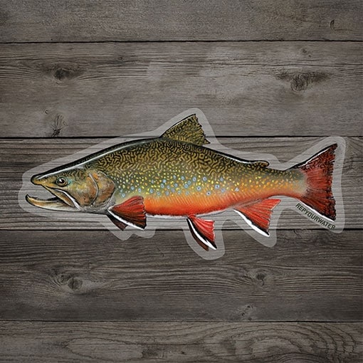 Rep Your Water Brookie ���ƥå���