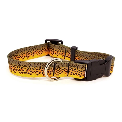 Rep Your Water - Brown Trout Dog Collar(�֥饦��ȥ饦�ȥɥå����顼)