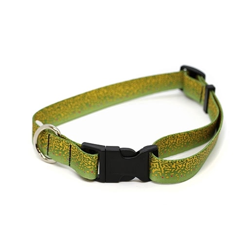 Rep Your Water - Brook Trout Dog Collar (�֥�å��ȥ饦�ȥɥå����顼)