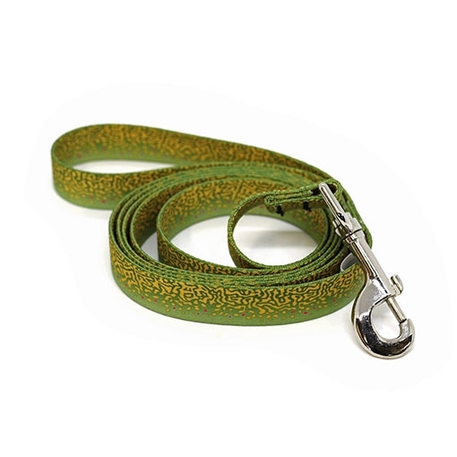 Rep Your Water - Brook Trout Dog Leash (�֥�å��ȥ饦�ȥɥå��꡼����)