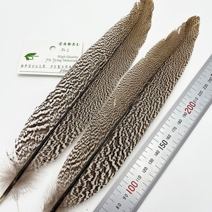 CANAL�ҡ����ڥå���ɥե�����ȥơ����9000�ߥ��졼�ɡ�