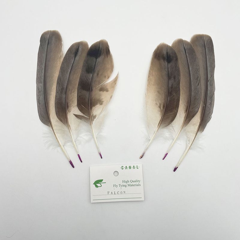 CANAL�ҡ��ե��륳�󥯥���ʥϥ�֥��ˣ��ڥ�