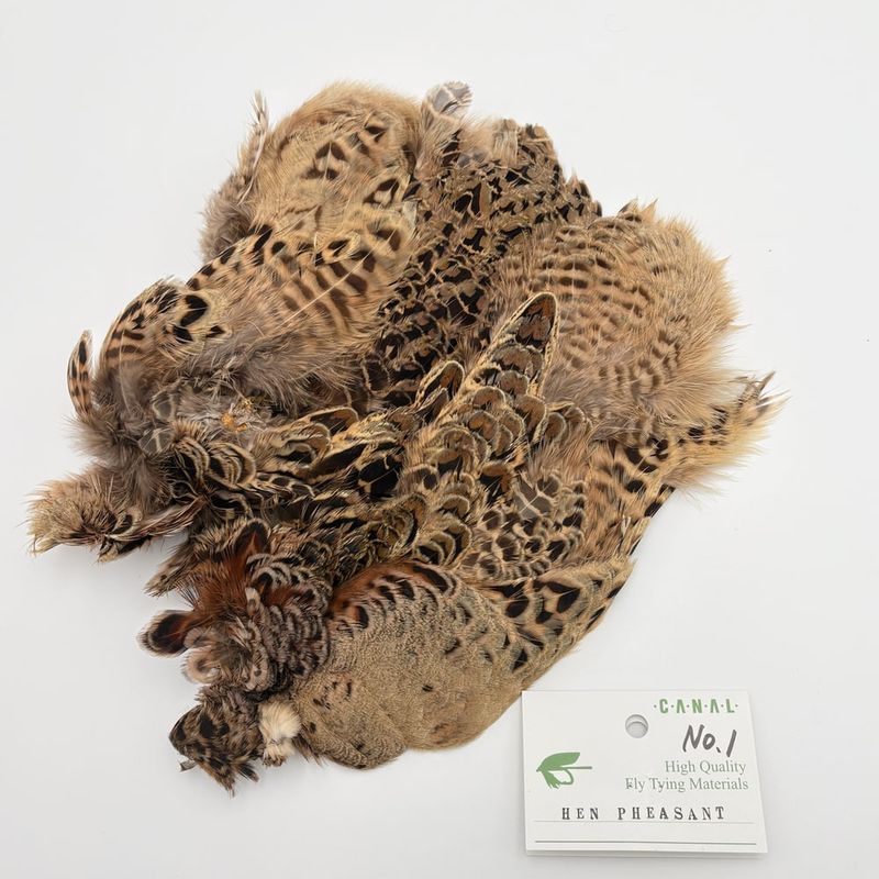 �إ�ե�����ȥܥǥ������� No.1