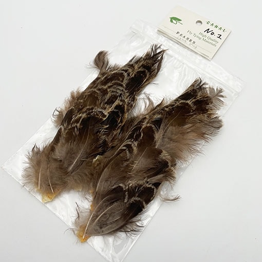 CANAL�ҡ��ԡ��إ󥷥�������1