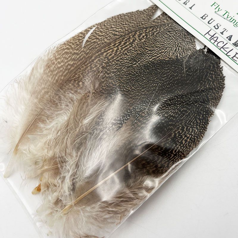 CANALҡ꡼Хɥϥå (2,000)