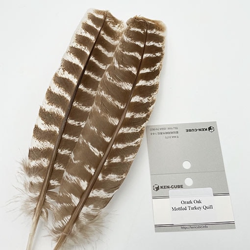 OZARK OAK ��ȥ�ɥ�������������