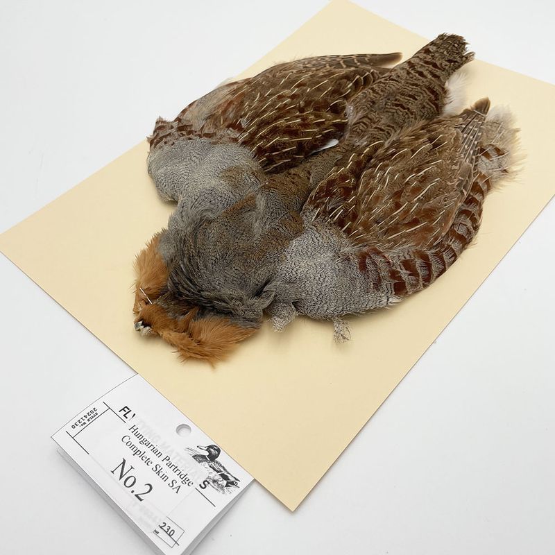 ϥ󥬥ꥢѡȥåץ꡼ȥ SA NO.2