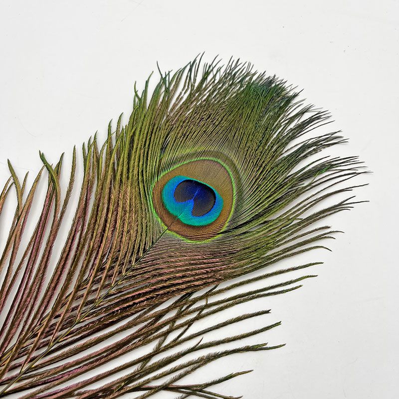 CANALҡԡå3ˡCN40 004