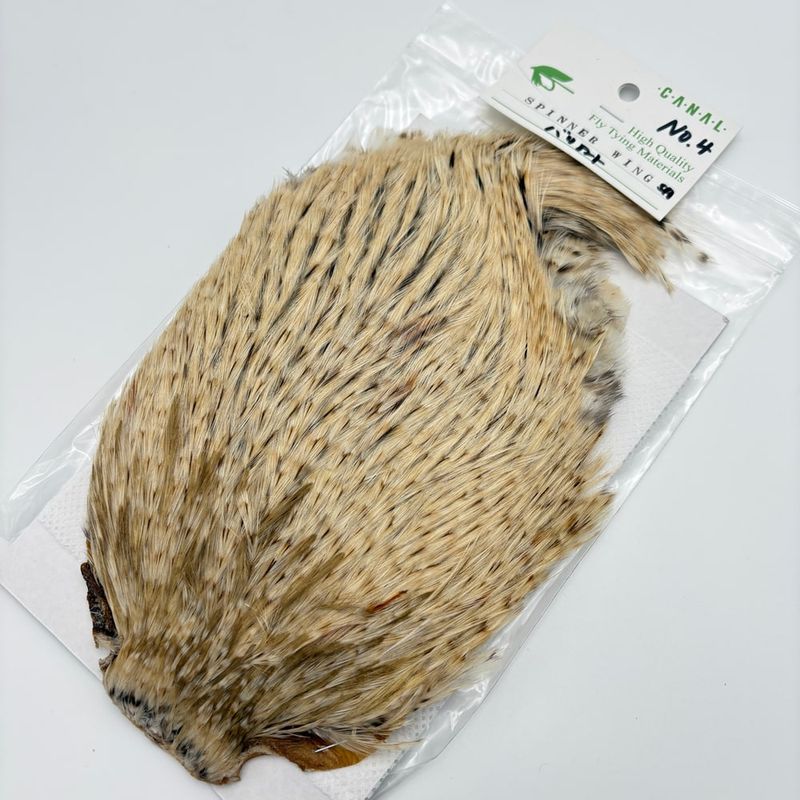 CANAL�ҡ����ԥʡ������� �Хꥢ��� SA��No.4