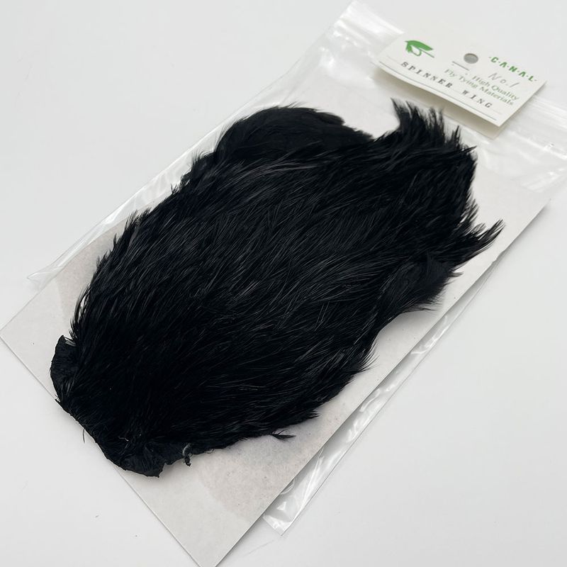 CANALҡԥʡ ֥åNo.1