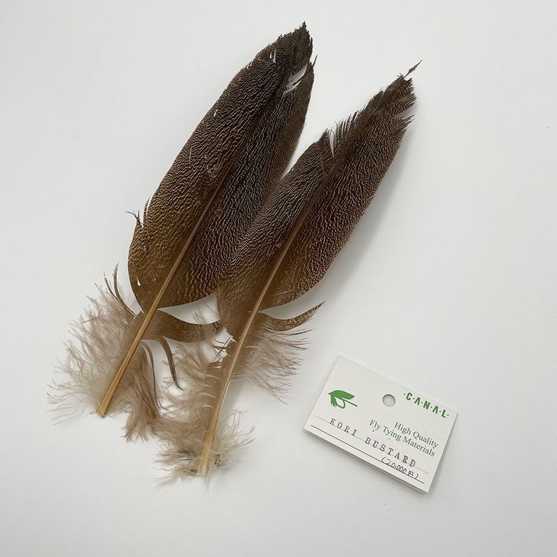 CANALҡ꡼Хɥ (20,000)