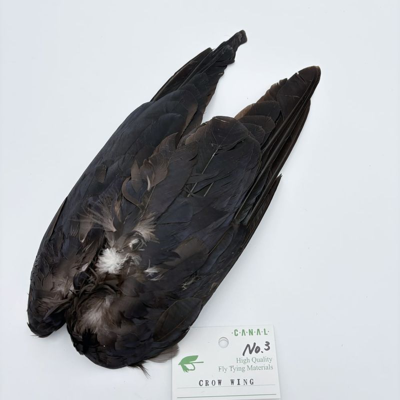 ����ʥ�ҡ������������� NO.3