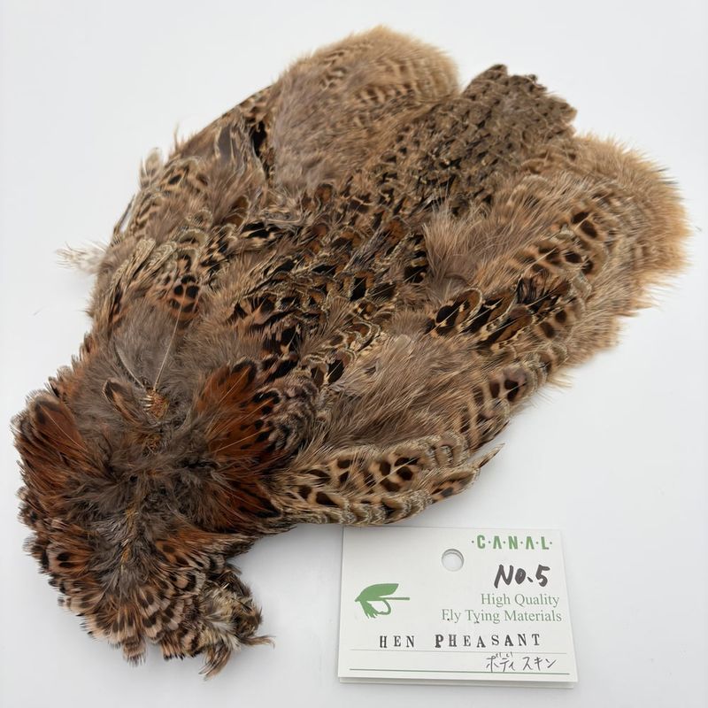 �إ�ե�����ȥܥǥ������� No.5